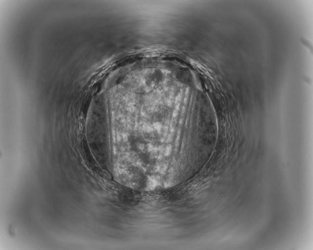 X0000096441349200802071739