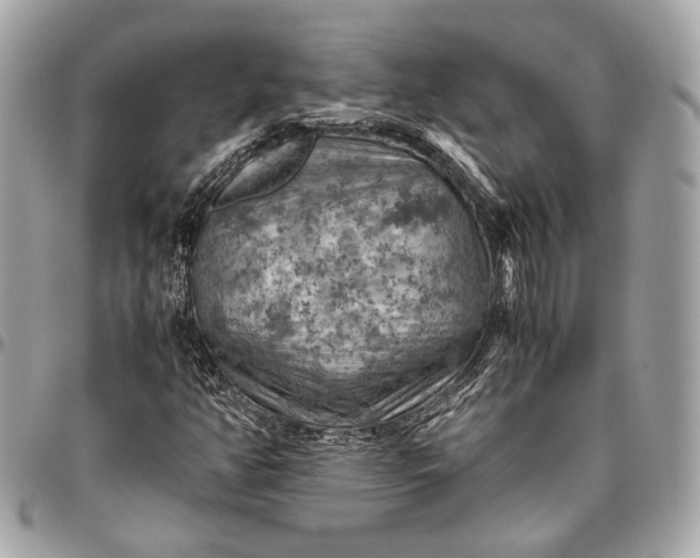 X0000096441350200802071739