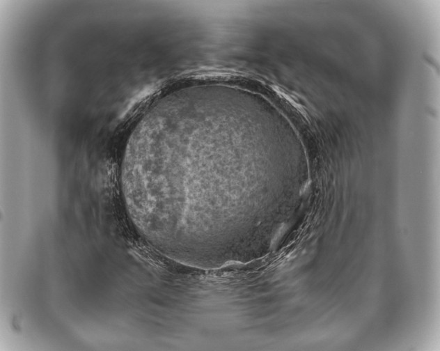 X0000096441351200802071739