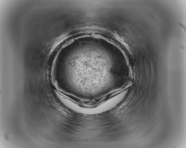 X0000096441352200802071739