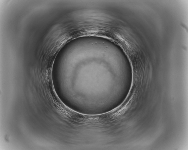 X0000096441353200802071739