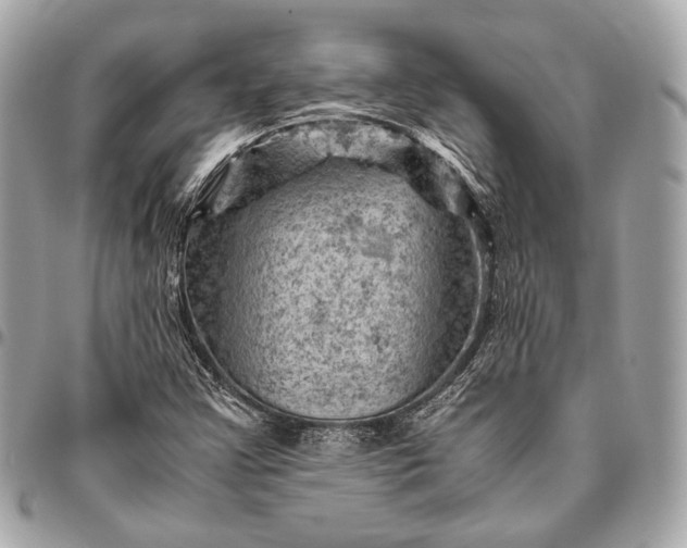 X0000096441355200802071739