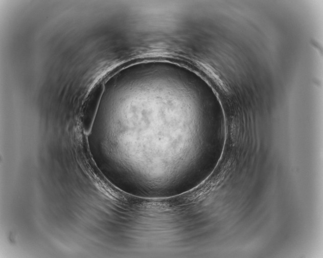 X0000096441356200802071739