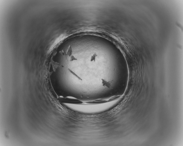 X0000096441359200802071739