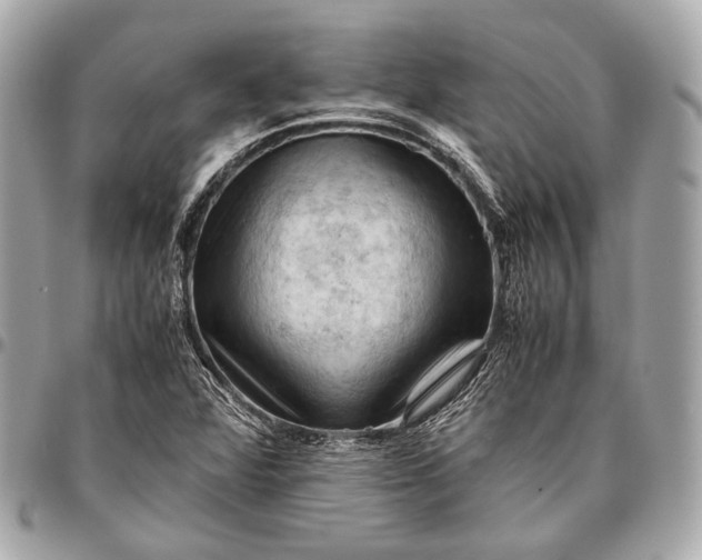 X0000096441360200802071739