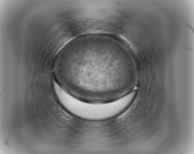 X0000096441361200802071739