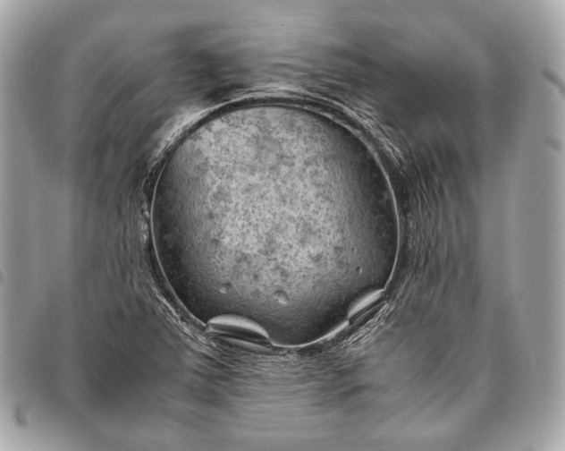 X0000096441363200802071739