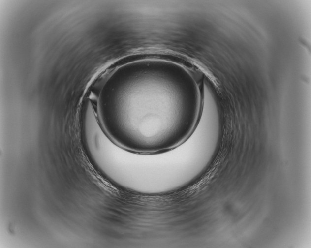 X0000096441364200802071739