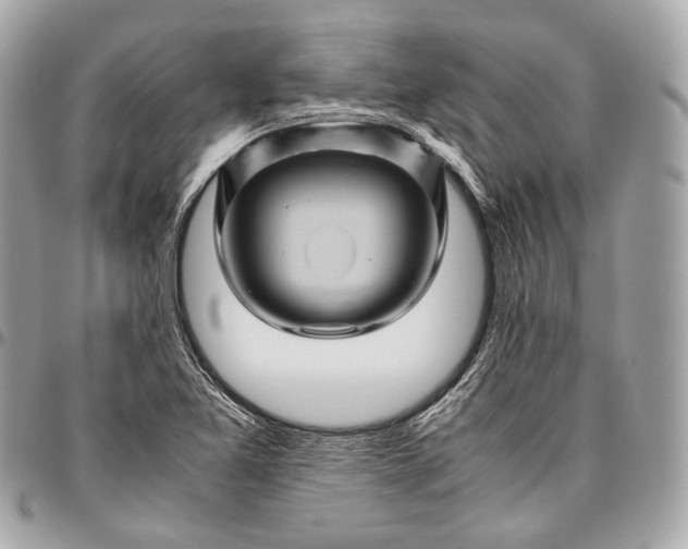 X0000096441365200802071739