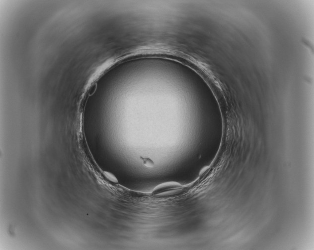 X0000096441366200802071739