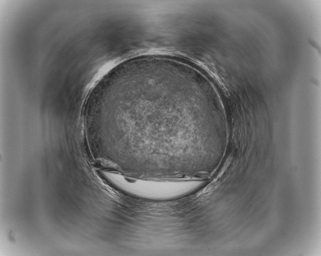 X0000096441367200802071739