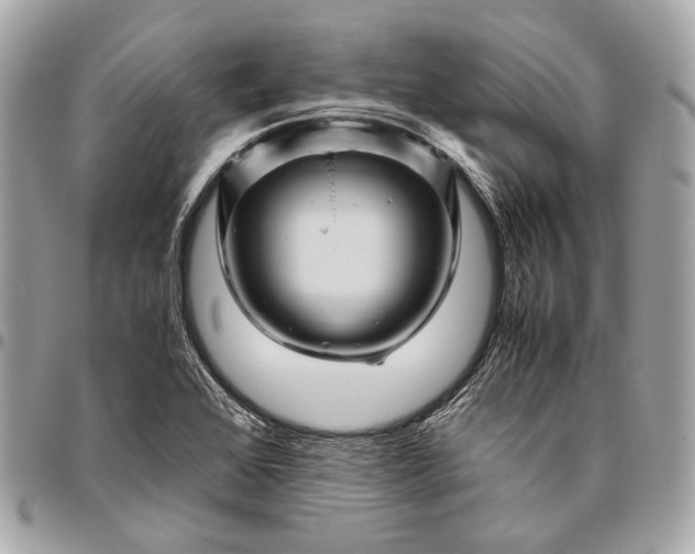 X0000096441368200802071739