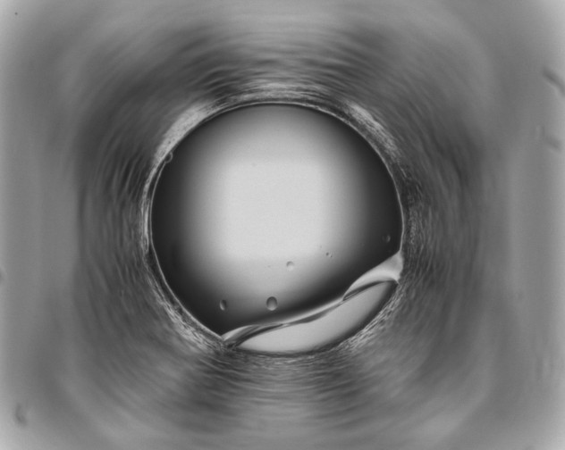 X0000096441370200802071739