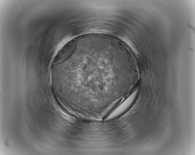 X0000096441371200802071738