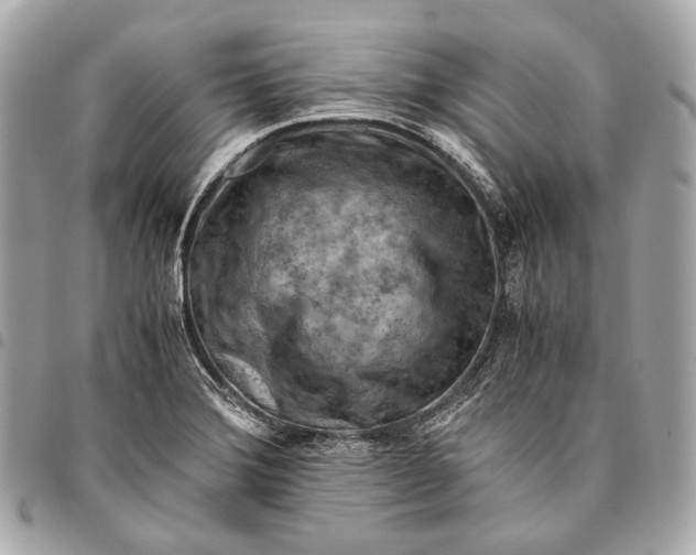 X0000096441372200802071738