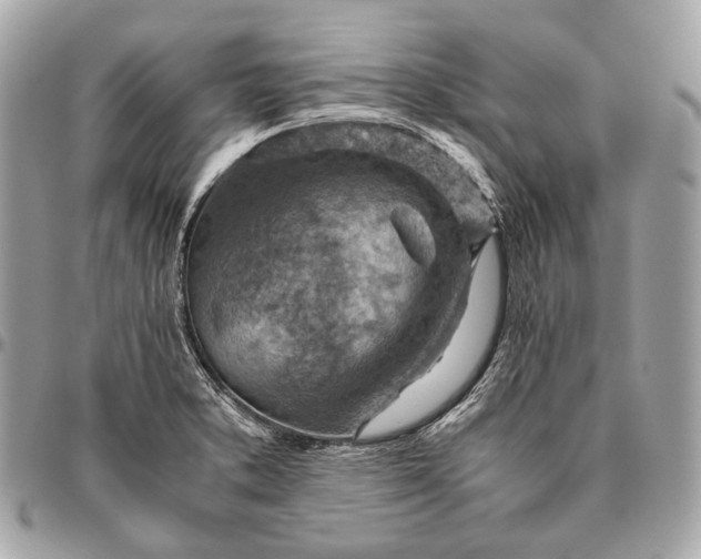 X0000096441373200802071738