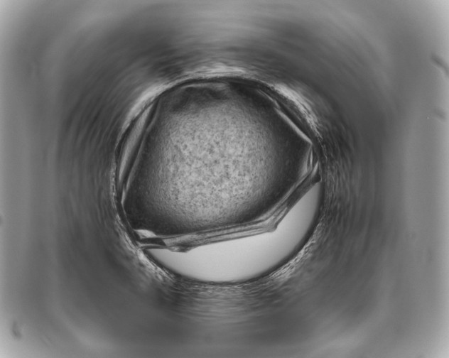 X0000096441374200802071738