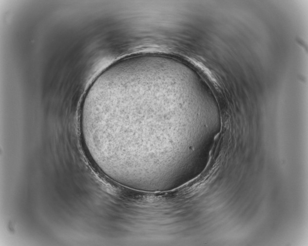 X0000096441375200802071738