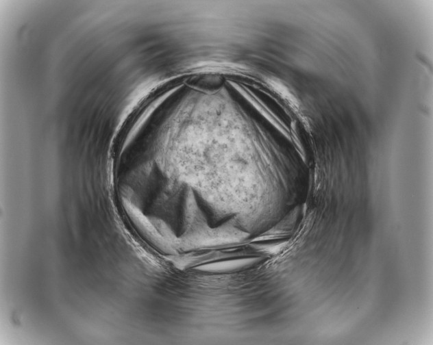 X0000096441376200802071738