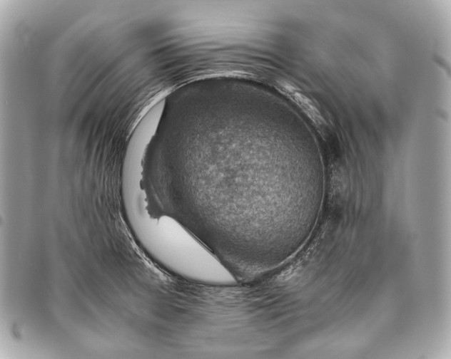 X0000096441377200802071738