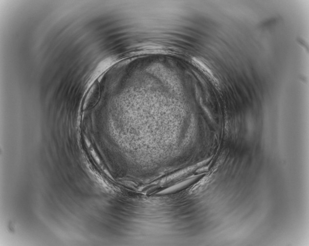 X0000096441378200802071738