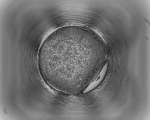 X0000096441379200802071738