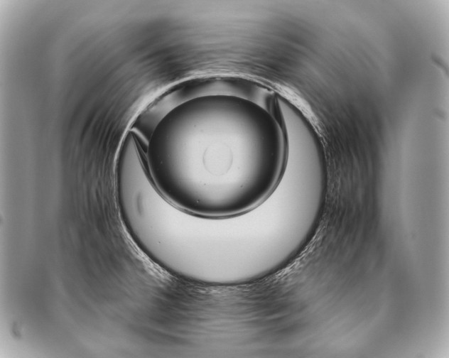 X0000096441380200802071738