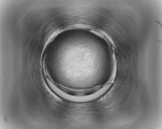 X0000096441381200802071738