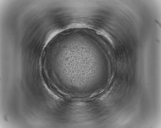 X0000096441382200802071738