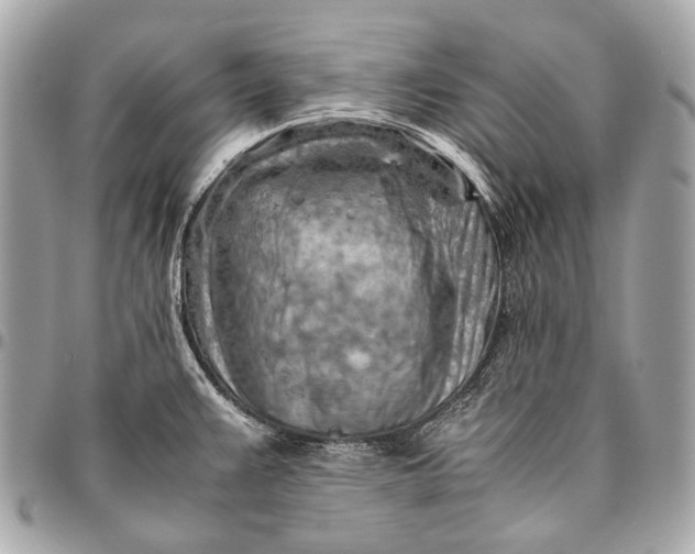 X0000096441383200802071738