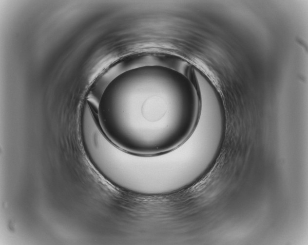 X0000096441384200802071738