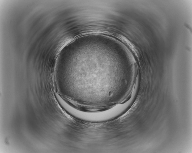 X0000096441385200802071738