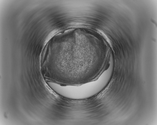 X0000096441386200802071738