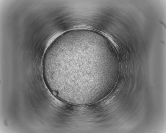 X0000096441387200802071738