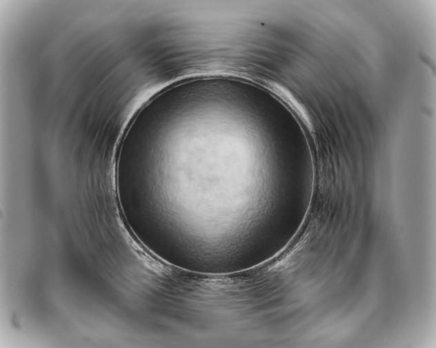 X0000096441388200802071738