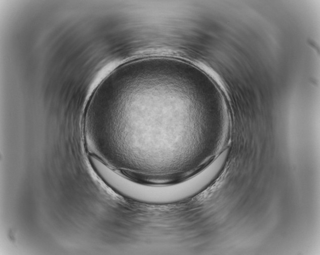 X0000096441389200802071738