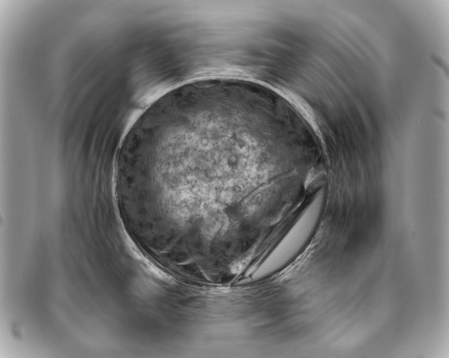 X0000096441390200802071738