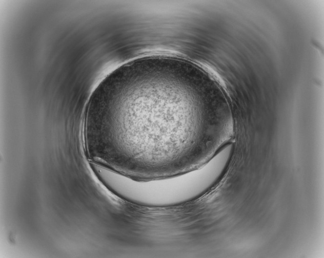 X0000096441391200802071738