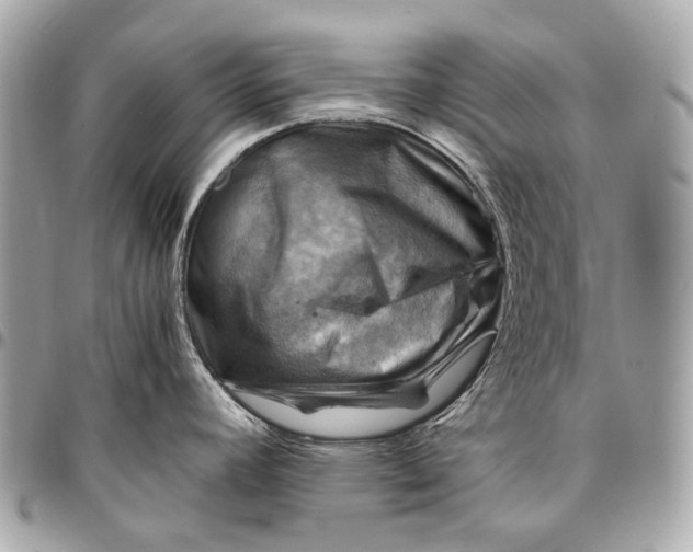 X0000096441392200802071738