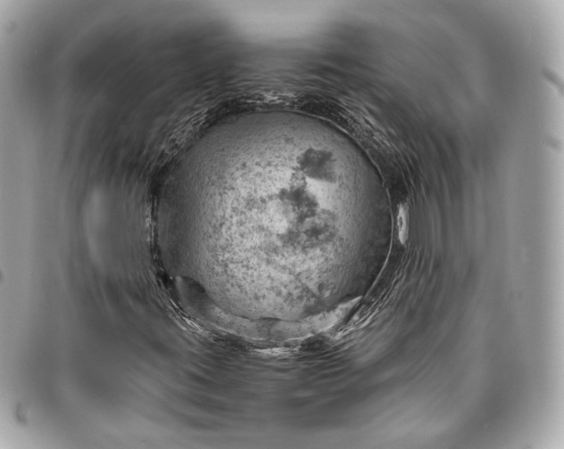 X0000096441395200802071737