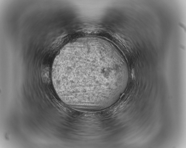 X0000096441396200802071737