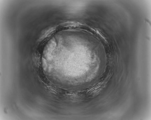 X0000096441399200802071737