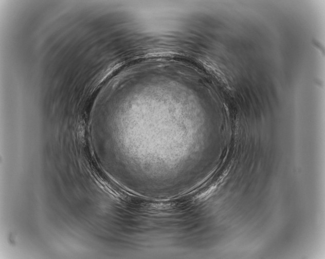 X0000096441401200802071737