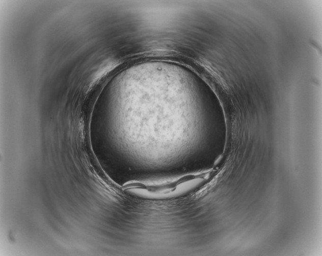 X0000096441402200802071737