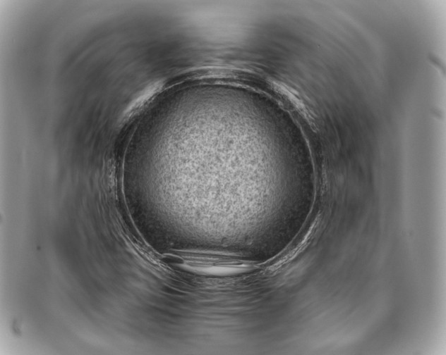 X0000096441403200802071737