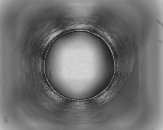 X0000096441404200802071737