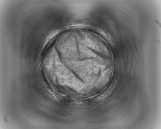 X0000096441405200802071737