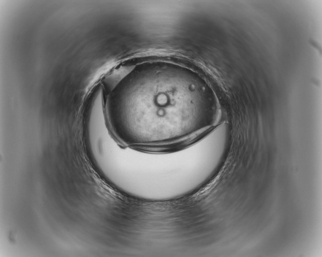 X0000096441406200802071737