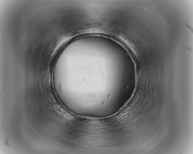 X0000096441408200802071737