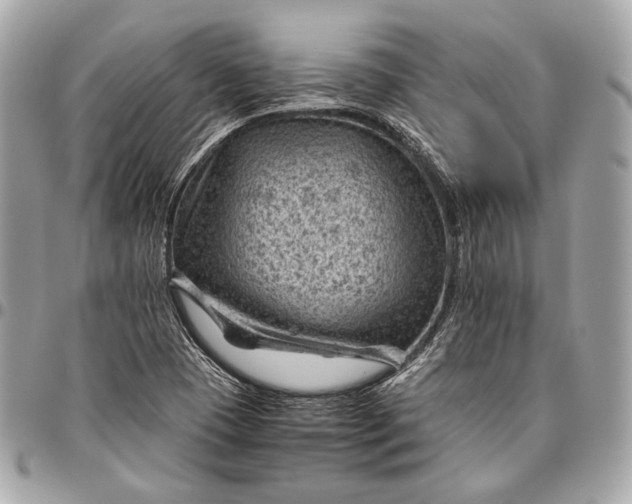 X0000096441409200802071737